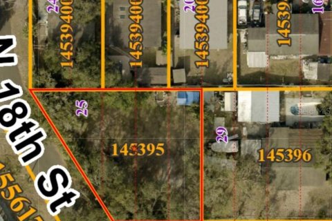 Land in Tampa, Florida № 1826450 - photo 7