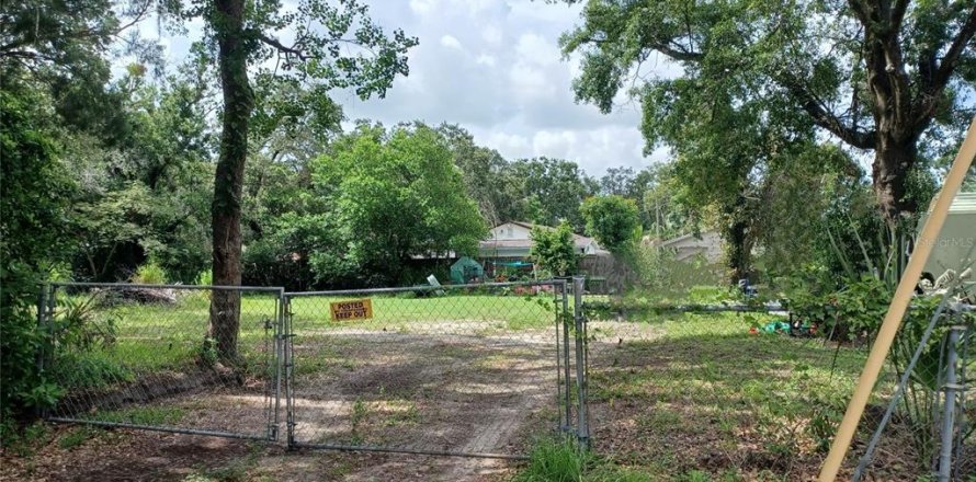 Land in Tampa, Florida № 1826450
