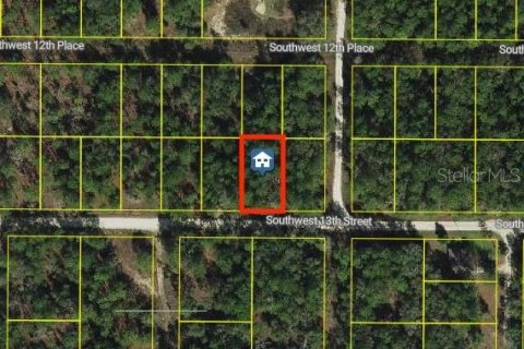 Land in Ocala, Florida № 2161234