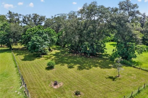House in Trenton, Florida 4 bedrooms, 387.4 sq.m. № 2231938 - photo 18