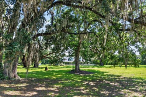 House in Trenton, Florida 4 bedrooms, 387.4 sq.m. № 2231938 - photo 8