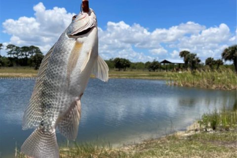 Купить коммерческую недвижимость в Виро-Бич, Флорида № 1958433 - фото 21