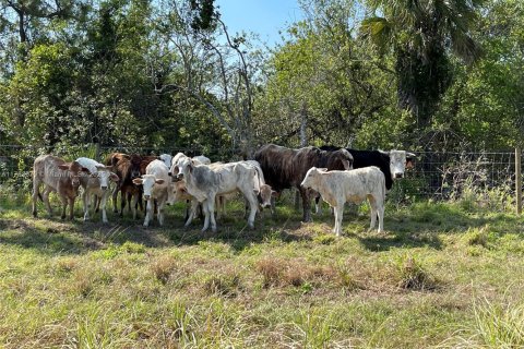 Купить коммерческую недвижимость в Виро-Бич, Флорида № 1958433 - фото 25