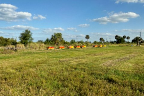 Купить коммерческую недвижимость в Виро-Бич, Флорида № 1958433 - фото 24