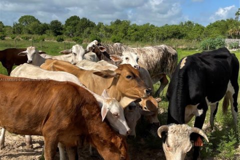 Купить коммерческую недвижимость в Виро-Бич, Флорида № 1958433 - фото 15