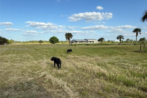 Купить коммерческую недвижимость в Виро-Бич, Флорида № 1958433 - фото 16