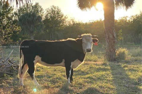 Купить коммерческую недвижимость в Виро-Бич, Флорида № 1958433 - фото 27