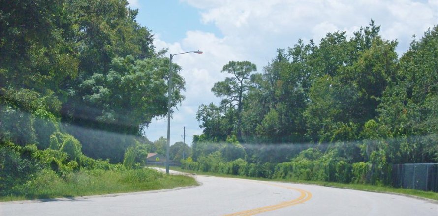 Land in Orlando, Florida № 1720521