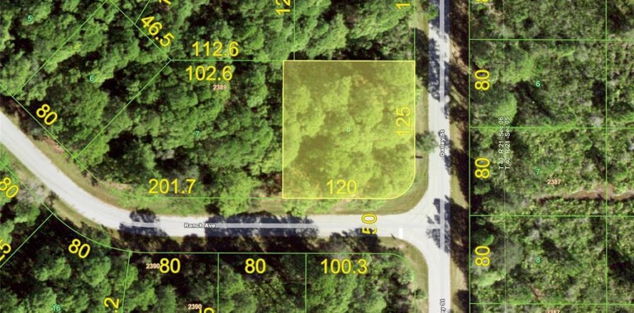 Land in Port Charlotte, Florida № 2164917