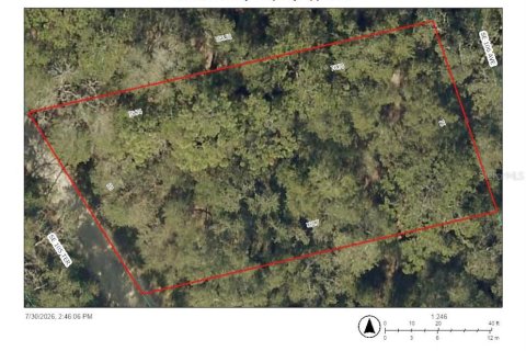 Terreno en Ocklawaha, Florida № 2259302