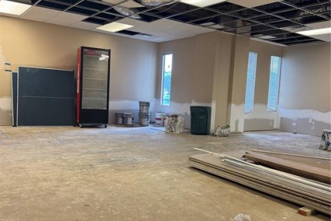 Immobilier commercial à louer à Tampa, Floride: 4303.23 m2 № 2095151 - photo 5