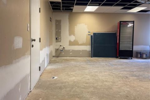 Immobilier commercial à louer à Tampa, Floride: 4303.23 m2 № 2095151 - photo 4