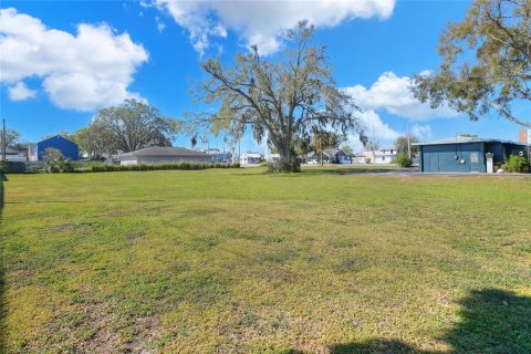 Land in Winter Haven, Florida № 1549168 - photo 16