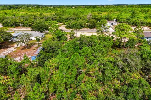 Land in Lake Wales, Florida № 2164722 - photo 7