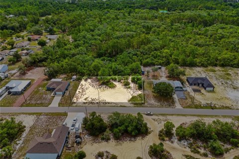 Land in Lake Wales, Florida № 2164722 - photo 13