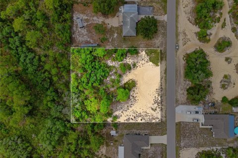 Land in Lake Wales, Florida № 2164722 - photo 12