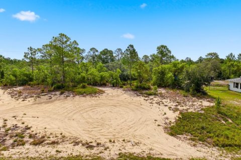 Land in Lake Wales, Florida № 2164722 - photo 5