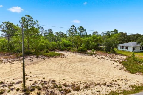 Land in Lake Wales, Florida № 2164722
