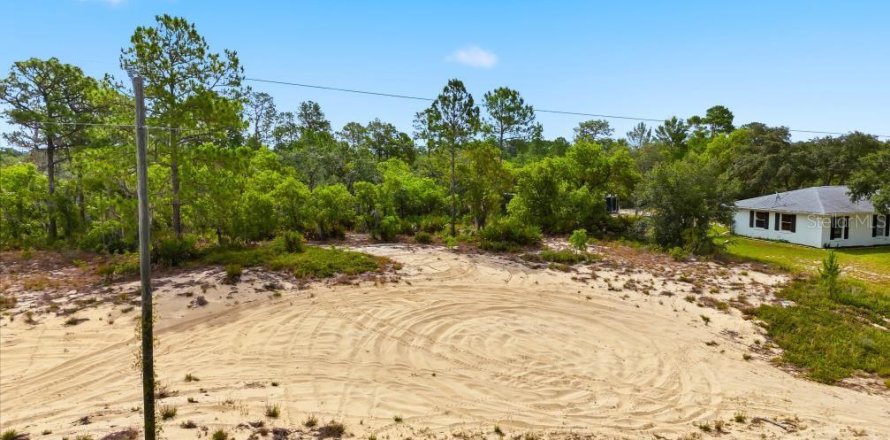 Land in Lake Wales, Florida № 2164722