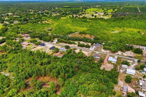 Land in Lake Wales, Florida № 2164722 - photo 6
