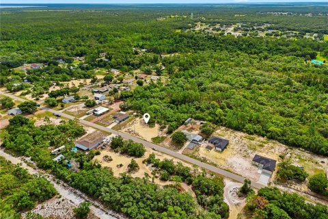 Land in Lake Wales, Florida № 2164722 - photo 10