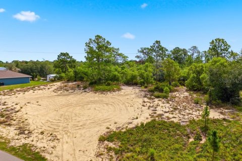 Land in Lake Wales, Florida № 2164722 - photo 3