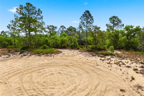 Land in Lake Wales, Florida № 2164722 - photo 4