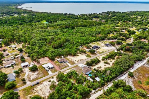 Land in Lake Wales, Florida № 2164722 - photo 8