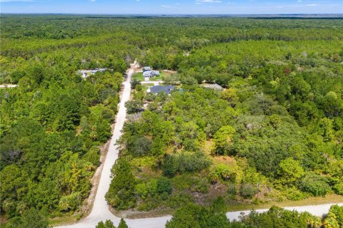 Land in Weeki Wachee, Florida № 2232294 - photo 6