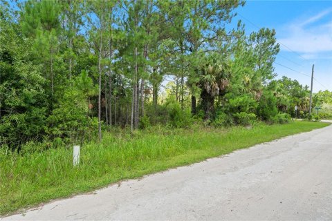 Land in Weeki Wachee, Florida № 2232294 - photo 3