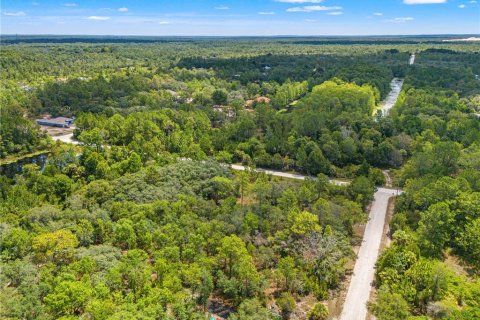 Land in Weeki Wachee, Florida № 2232294 - photo 7