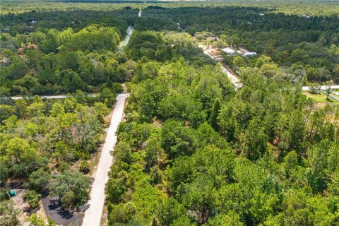 Land in Weeki Wachee, Florida № 2232294 - photo 11