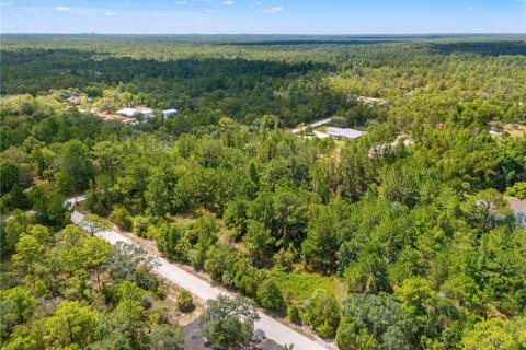 Land in Weeki Wachee, Florida № 2232294 - photo 9