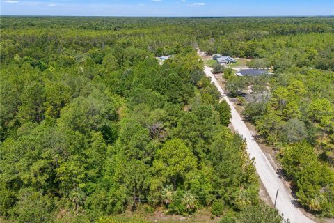 Land in Weeki Wachee, Florida № 2232294 - photo 15