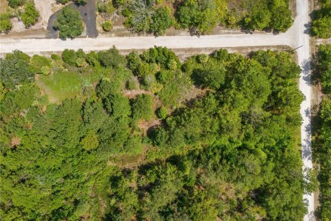 Land in Weeki Wachee, Florida № 2232294 - photo 16