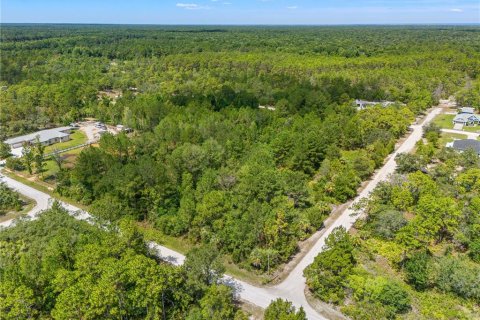 Land in Weeki Wachee, Florida № 2232294 - photo 13