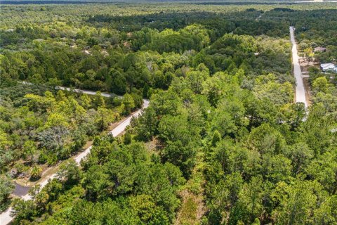 Land in Weeki Wachee, Florida № 2232294 - photo 12