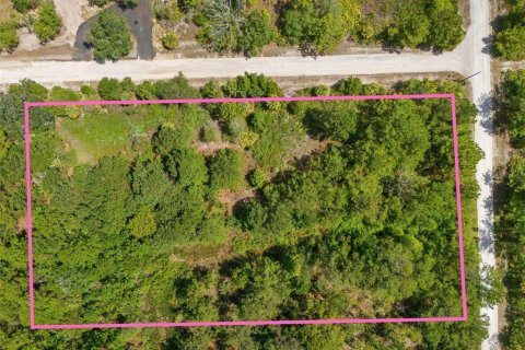 Land in Weeki Wachee, Florida № 2232294 - photo 4