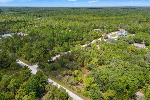 Land in Weeki Wachee, Florida № 2232294 - photo 5
