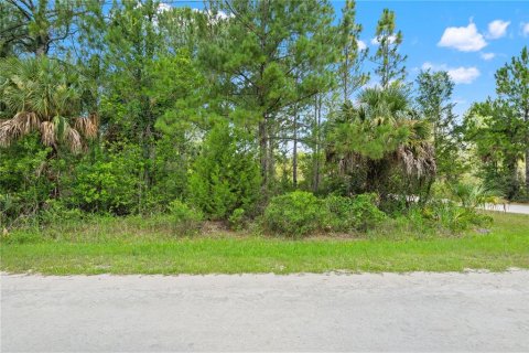 Land in Weeki Wachee, Florida № 2232294 - photo 2