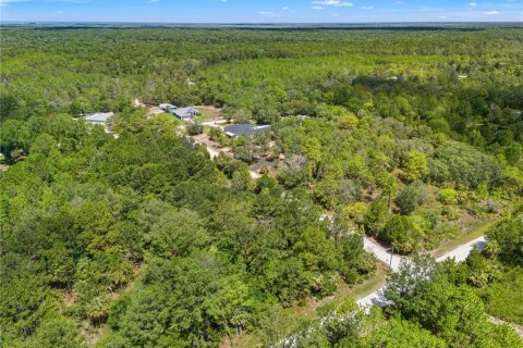 Land in Weeki Wachee, Florida № 2232294 - photo 14
