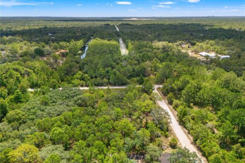 Land in Weeki Wachee, Florida № 2232294 - photo 8