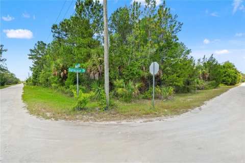 Land in Weeki Wachee, Florida № 2232294