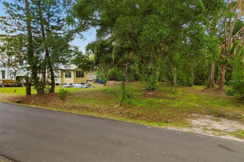 Villa ou maison à vendre à Tampa, Floride: 1 chambre, 74.32 m2 № 2149184 - photo 14