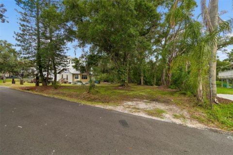 Villa ou maison à vendre à Tampa, Floride: 1 chambre, 74.32 m2 № 2149184 - photo 9