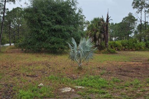 Land in North Port, Florida № 2161730 - photo 4