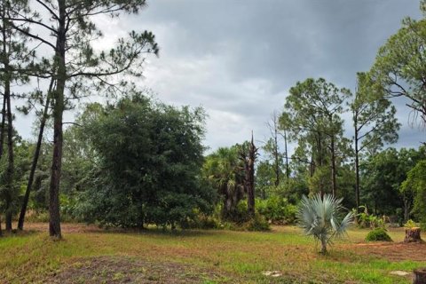 Land in North Port, Florida № 2161730
