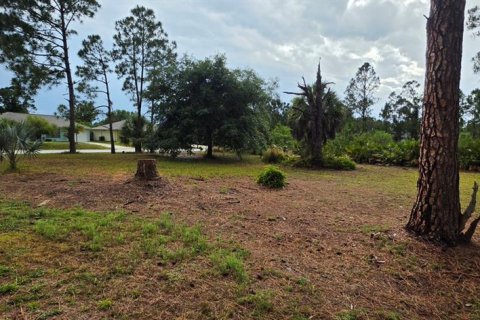 Land in North Port, Florida № 2161730 - photo 6