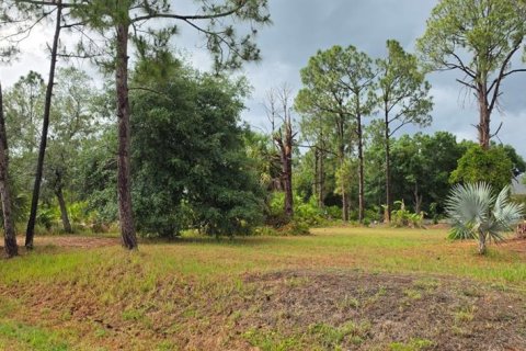 Land in North Port, Florida № 2161730 - photo 2