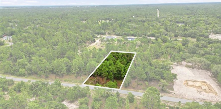 Terrain à Dunnellon, Floride № 2196730